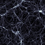 Illustris simulation - distribution of dark matter